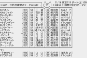 11/14(土) 第25回 東京中日スポーツ杯武蔵野ステークス(GⅢ)