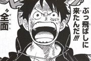 【疑問】ワンピースの「2年後」とかいう漫画史に残る愚策ｗｗｗｗｗ