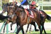 【ダートでもうひと華あるか】ダービー馬を9歳になっても走らせる馬主ｗｗｗｗｗｗ