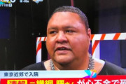 【訃報】元横綱・曙(54)、心不全で死去・・・・😭