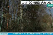 【東京】武蔵村山 山林に火つけ燃やしたか 自称アルバイト２１歳の容疑者逮捕
