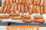 【画像】「こういうのでいいんだよ」弁当、発見される