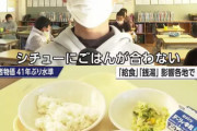 【画像】小学生、給食のメニューに不満だった