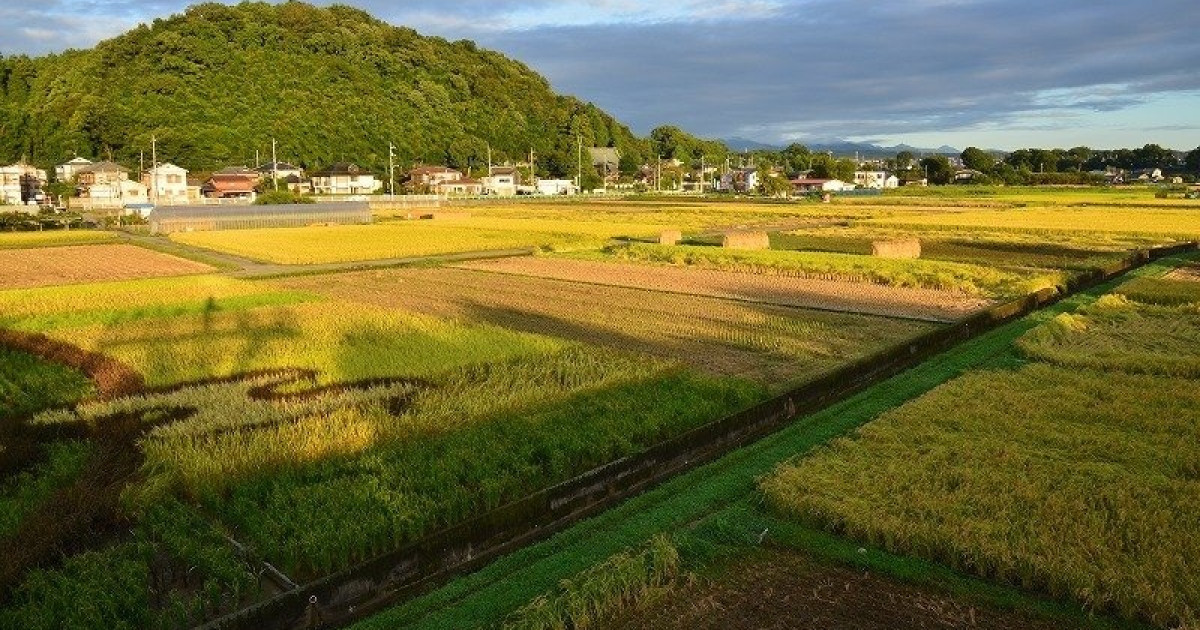 年収の平均値が最も高いのは東京都の375.5万円で、次いで神奈川県の335.6万円、大阪府の330.9万円  [4/20]