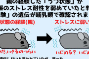 【悲報】慢性社会的敗北ストレスは父から子へ「精子にのって遺伝する」と明らかに・・・