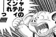 ドラゴンボールって7個集めたフリーザの願いをブタが台無しにしたと認識してたんだけど