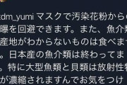 【悲報】聖人ヒカキンが犯した人生最大のミス