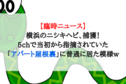 【臨時ニュース】横浜のニシキヘビ、捕獲！5chで当初から指摘されていた「アパート屋根裏」に普通に居た模様w
