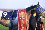 競走馬クロフネ死す。23歳。2001年にNHKマイルCとジャパンカップダートを制覇