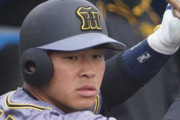 阪神の佐藤はメタル