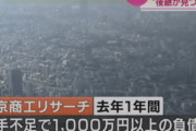 【中国の反応】人手不足で倒産する企業数が過去最高に。中国「開放移民政策は？」「引きこもりを働かせれば」