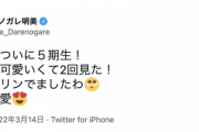 『可愛くて可愛いくて2回見た！』ダレノガレ明美さん、乃木中5期生登場に大興奮wwwwww