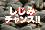 しじみチャンス！！
