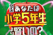 【悲報】しょこたん、300万円挑戦せず！