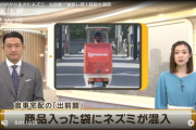 【悲報】出前館、商品の袋にネズミが入っていたことが発覚し謝罪するｗｗｗｗ