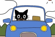 【あるある】ひとりで車を運転中に発しがちな言葉ｗｗｗｗｗｗｗｗ