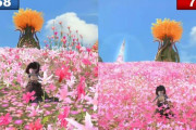 【FF14】キャラが隠れるレベルの花の量！7.0グラフィックスアップデート後の「イル・メグ」の変化が凄すぎると話題に！