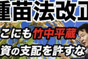 日本　韓国に奪われ続けたシャインマスカットや紅はるかを守る為にようやく法改正　既に手遅れじゃね？
