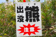 【悲報】クマ殺処分反対派さん「熊を虐殺して楽しいか？送りたきゃ送ってみろよ！」