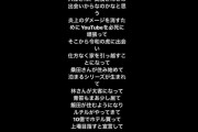 ヒカル「このままいくと10億超えそう」過去最高利益　新恋人も明かし「全てが上手くいってる」