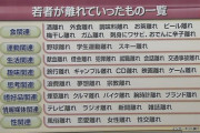 【悲報】若者の『ゲーム離れ』が深刻化な模様 お前らなんでゲームやらなくなったの？