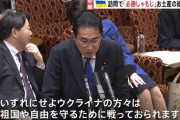 【悲報】岸田が「しゃもじ」でプーチンを煽った結果wwwwwwwwwwwwwwwwww