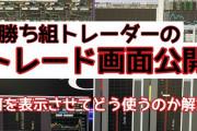 【悲報】株式投資「気絶が一番勝てます、常人はすぐ売っちゃいます、気絶しても損失の可能性あります」←こんなクソが今流行ってるという事実