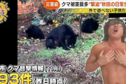 たくや？今、熊に県民の生活が脅かされ指名が入っています