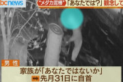 ニュースを見た家族「あなたではないか」 27万円相当のメダカを盗んだ男が自首