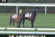 競馬関連のほのぼのする画像を貼るスレ