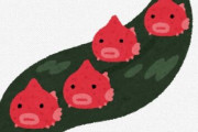 【画像】可愛すぎるお魚さん見つけたｗｗｗｗｗｗｗｗｗｗ