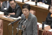 【桜を見る会】立憲・辻元清美議員「要するにそれはね、脱法行為と言うんですよ」（国会動画）