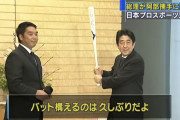 安倍晋三がプロ野球の監督になったらありそうなこと