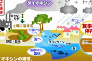 ダイオキシンの「ダイオ・キシン」感