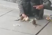 【動画】ネズミに芸を仕込んだホームレス