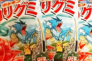 ポケモンの「釣りグミ」買ってきたから実況するぞｗｗ