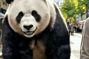 中国人「フランスで感じた日本への強烈なフィルター」　中国人「フランスと日本は両想い」「中国人と分かると空気が凍りつく」