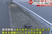 【ビッグモーター】元社員「草木を根絶やしするのが仕事」と証言　本社には警視庁などが強制捜査