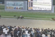 【不来方賞】イッテラッシャイ＆戸崎騎手がｷﾀ━━━━(ﾟ∀ﾟ)━━━━!!