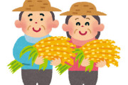 【悲報】コメ農家の倒産・休廃業が過去最多！コメは高騰しているのに農家は儲からない