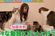 日向坂46×『どうぶつピース！！』コラボ第1弾は佐々木美玲×加藤史帆が動物の赤ちゃんを激カワ撮影！8/27放送、奇跡的な決定的瞬間の撮影成功？