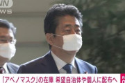 【朗報】日本政府「（アベノマスクの契約）業者とのメール無いって言ってたけど、見つかったわw」←何それ怖い?