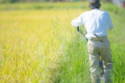 農業の人手不足が深刻　高齢者だらけで10年後には半分が亡くなる予定