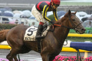 重馬場最強の日本馬は何か