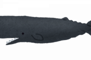【悲報】とんでもないクジラが存在した