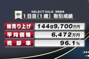 【セレクトセール2024】初日の合計144億9700万で平均6000万超えは草