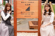 【日向坂46】毎年やるフラグ！？WKF開催記念樹＆記念碑を設立。