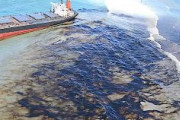 【モーリシャス】商船三井が座礁し流出させた大量のオイル、撤去作業始まるも海岸一帯が埋め尽くされ作業は難航