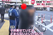 【動画】 女さん「えっ？ちょっと待って何？こっちは子供がいるんですけど？」 → とんでもない横断をしてしまう