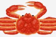【偽装】京都ブランド「間人がに」偽装事件。業者・漁師・旅館・住民が連携して産地偽装していた可能性が浮上・・・